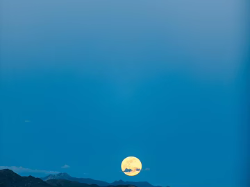 landscape painting texture (ID:ffagg60233)