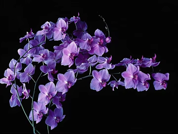 Flowers texture (ID:ffaif2104)