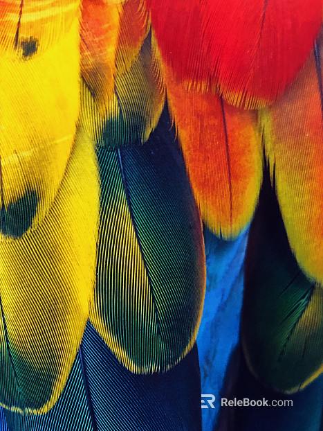 decorative painting texture