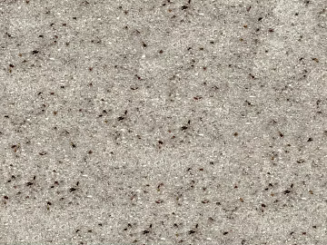 Granite 3d model
