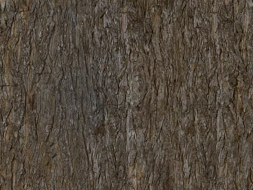 bark texture (ID:ffacf2884)