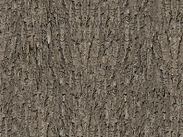 bark texture (ID:ffagg91866)