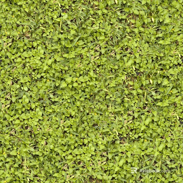 Turf ground texture