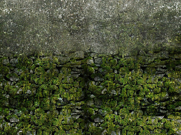 moss texture (ID:ffaeg53198)