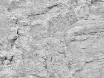 Rock Rock Black and White Chart texture (ID:ffabg00494)