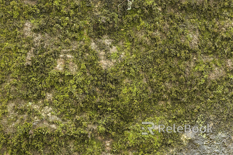 moss texture