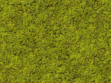 moss texture (ID:ffaag41905)