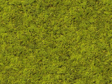 moss texture (ID:ffaag41905)