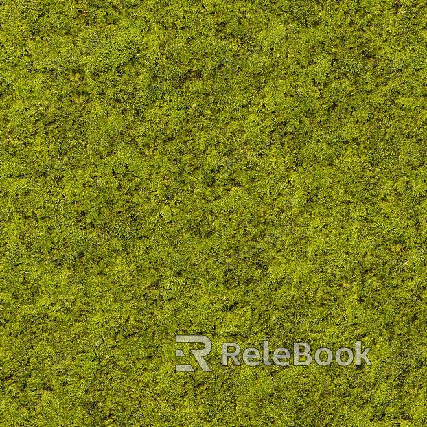 moss texture