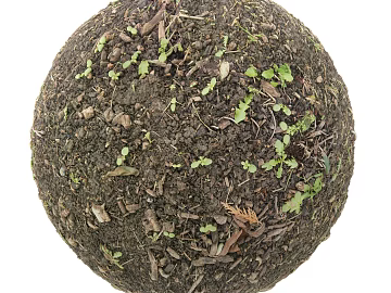 Soil PBR 3d model