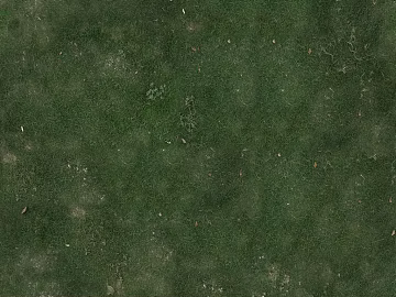 Turf texture (ID:ffaag61843)