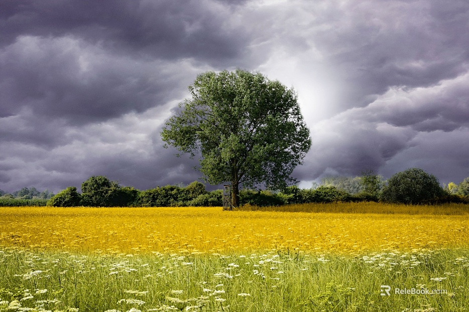 Wild Scenery texture