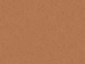 fine grain leather texture (ID:ffaag83541)