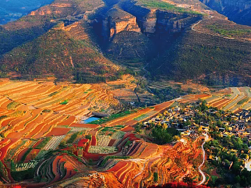 Wild Scenery texture (ID:ffaeg62675)