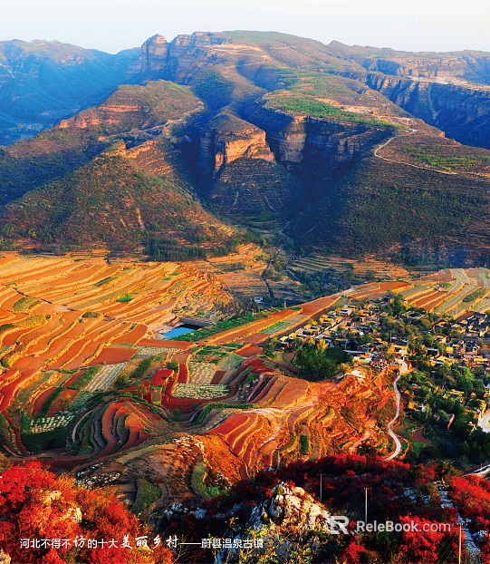 Wild Scenery texture