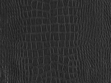 animal skin texture (ID:ffaag34716)