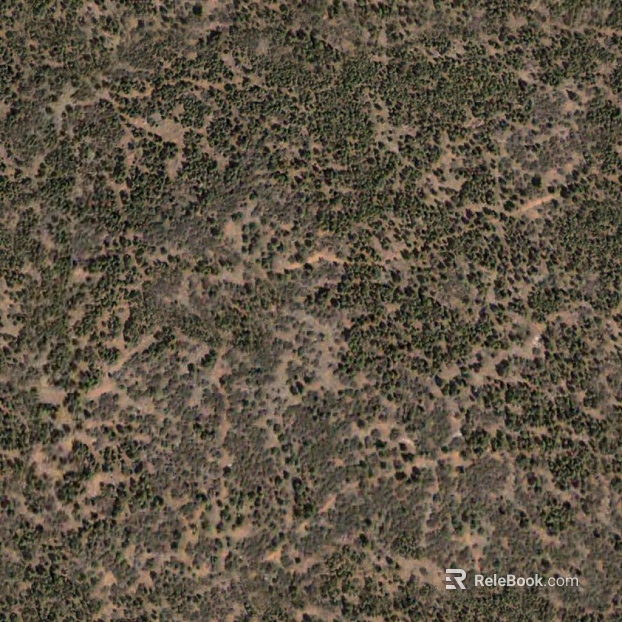 Yamaguform texture
