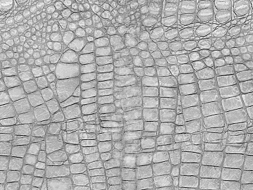 Black and white leather texture (ID:ffajg91097)