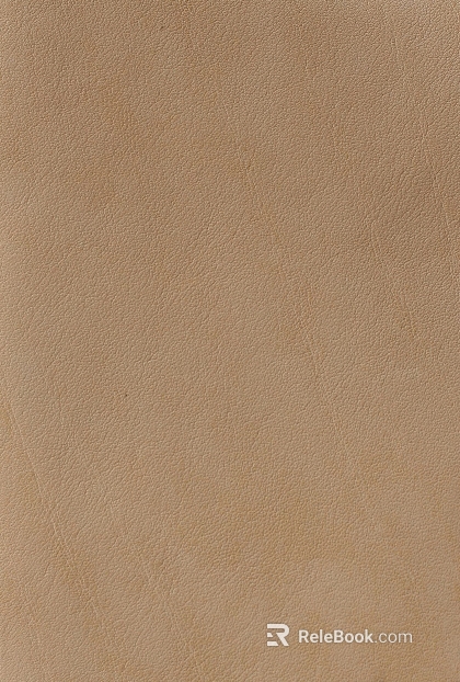Coarse-grain leather texture
