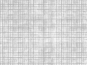 Plaid 3d model