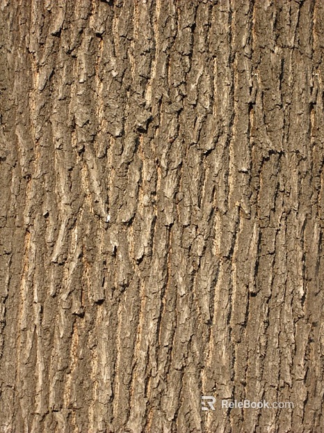 Dark brown bark texture natural material texture