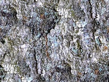 rock seamless texture (ID:ffacg78735)