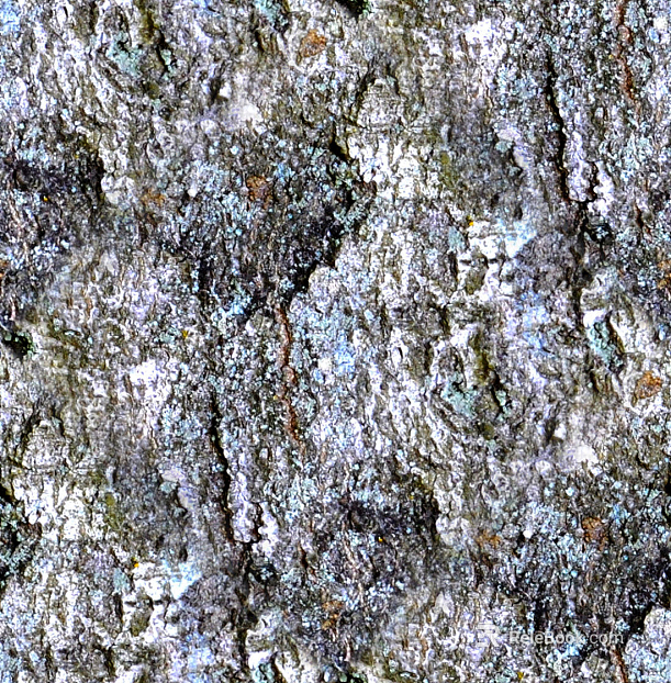 rock seamless texture