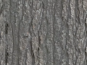bark texture (ID:ffaeg28759)