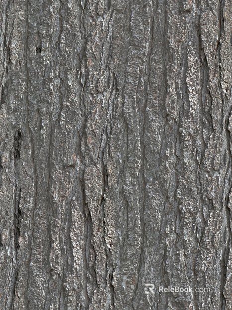 bark texture