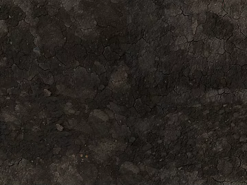 Mud texture (ID:ffacg77523)