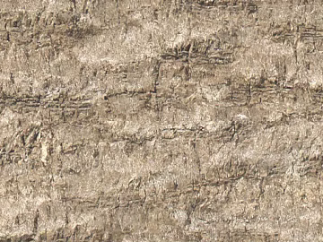 bark texture (ID:ffaeg67169)