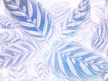 Plant painting texture (ID:ffagf9058)