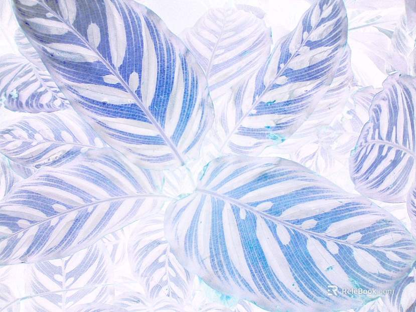 Plant painting texture