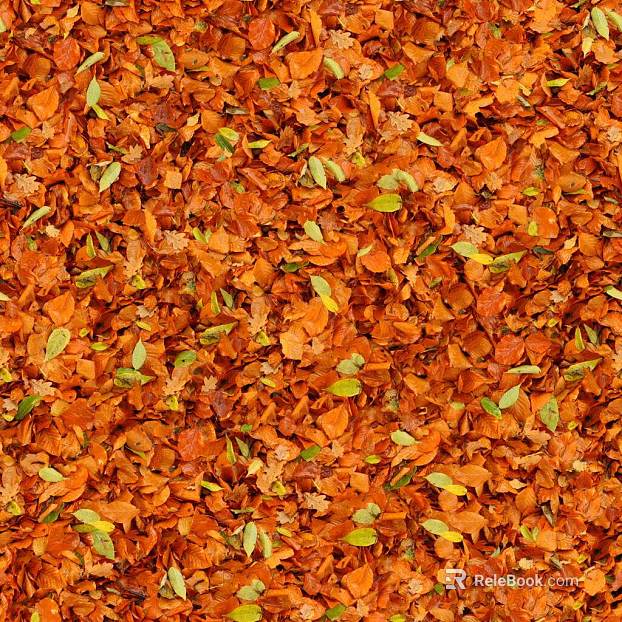 fallen leaves texture