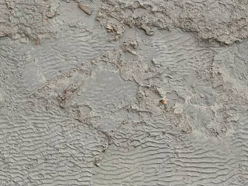 Mud ground texture (ID:ffaaf8952)