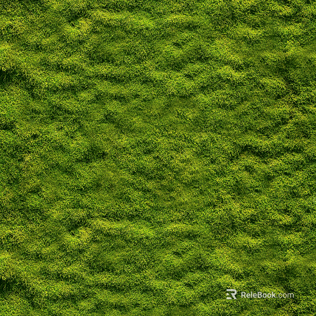 moss texture