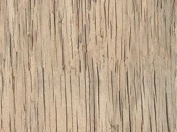 bark texture (ID:ffaeg30478)