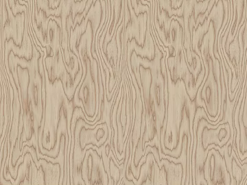 Pattern annual rings texture (ID:ffach318653)