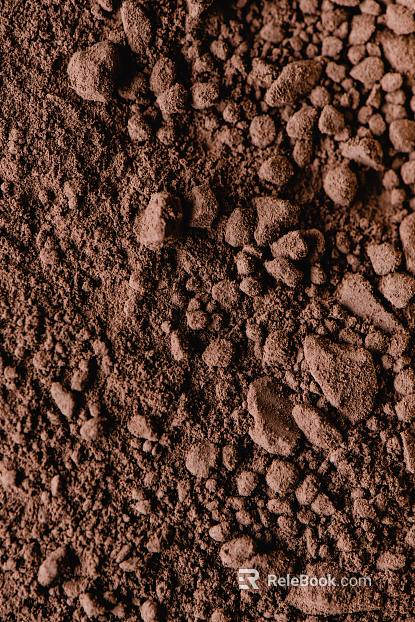 Mud texture