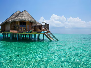 Wild Scenery texture (ID:ffagg99679)