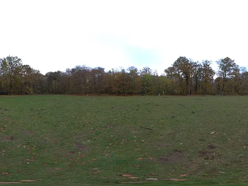 Outdoor Meadow Woods Daytime HDR texture (ID:ffabg51301)