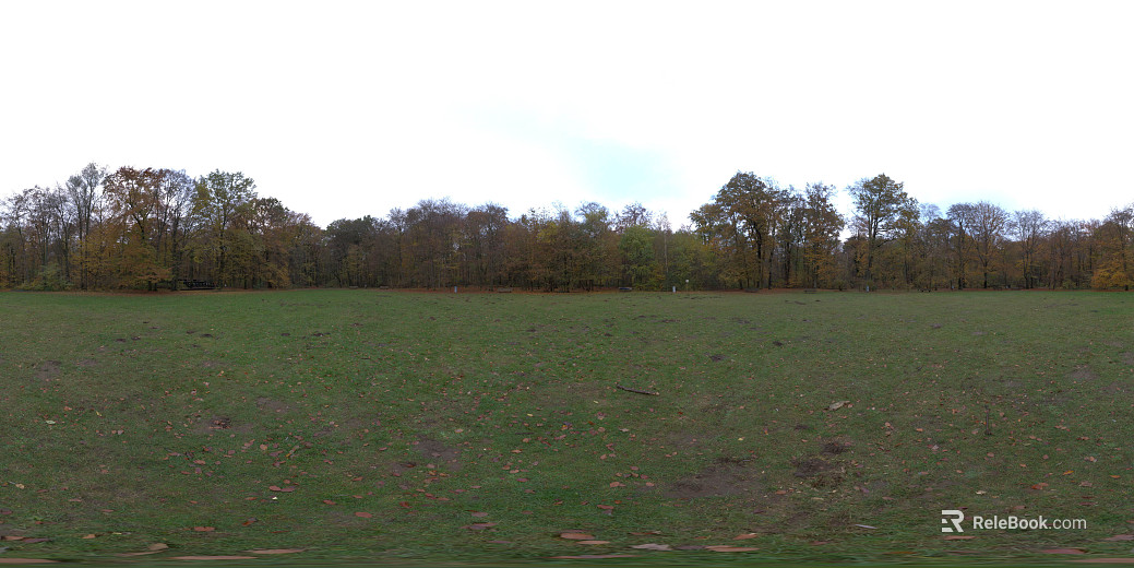 Outdoor Meadow Woods Daytime HDR texture