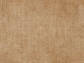 plain cloth texture (ID:ffabg79258)