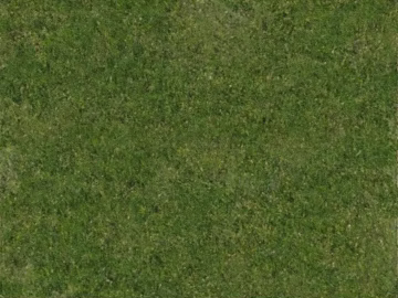 Turf texture (ID:ffajg56483)