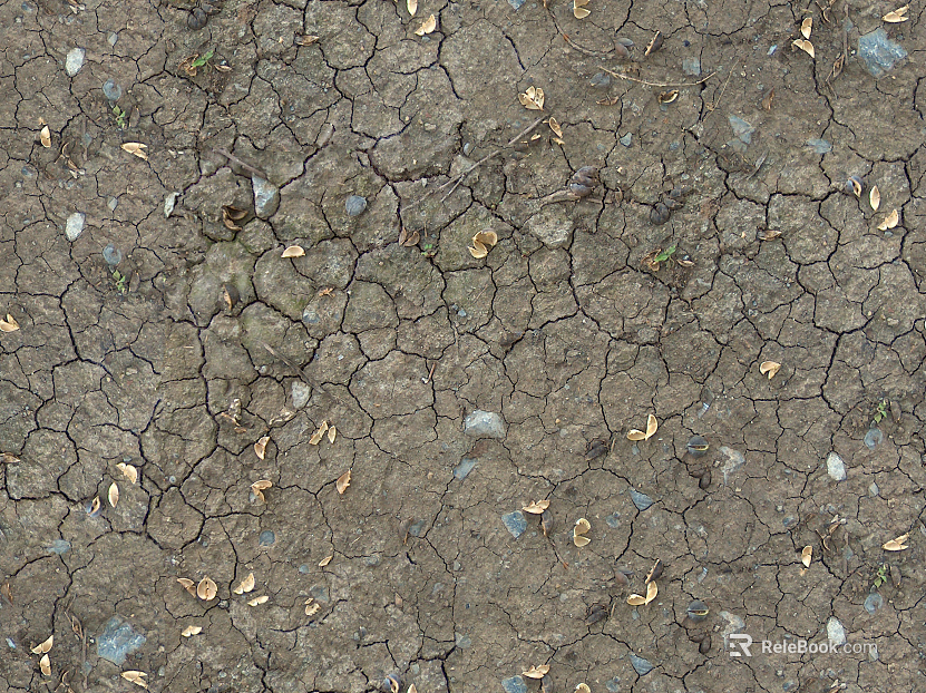 Mud ground texture