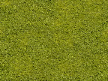 Turf ground texture (ID:ffaaf8259)