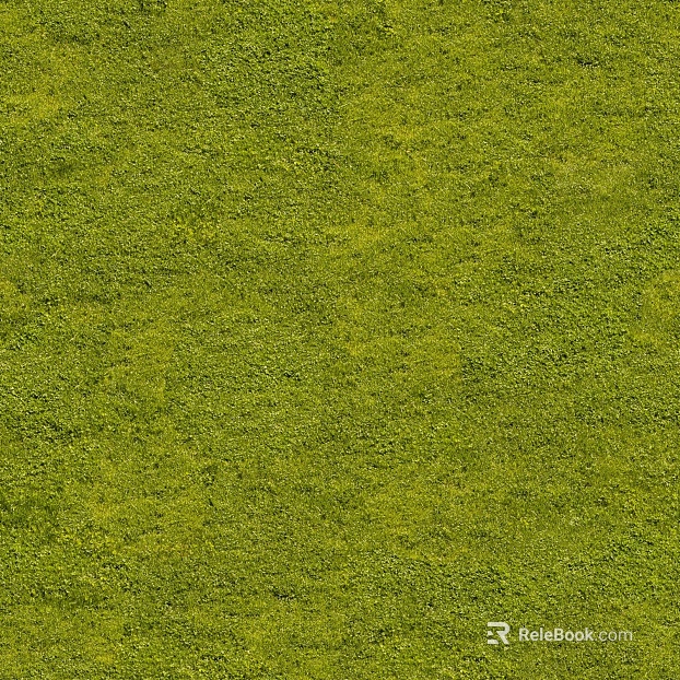 Turf ground texture