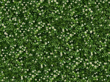 lawn flower lawn small flower lawn belt texture (ID:ffach121774)
