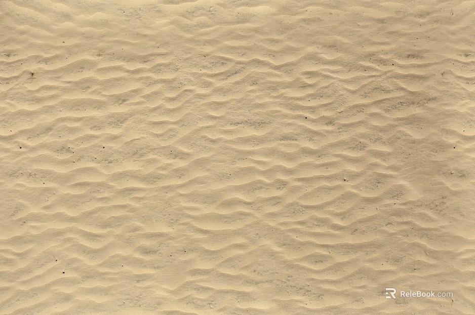 Beach texture