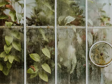 Old window texture (ID:ffaeg89958)